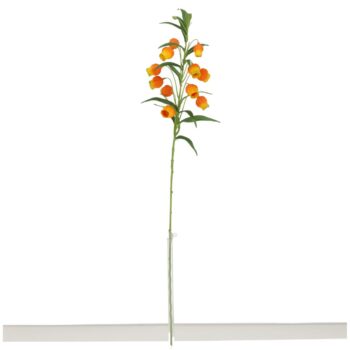 Sandersonia Kunsttak  Oranje