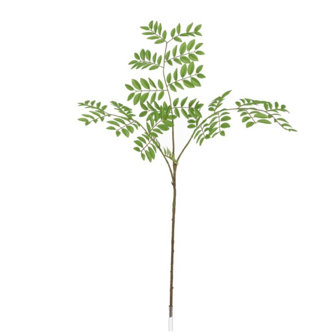 Sorbus Lijsterbes Kunsttak