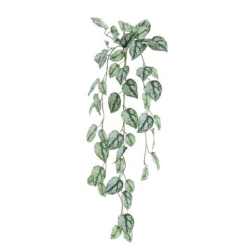 Scindapsus Pictus FR Kunsthanger