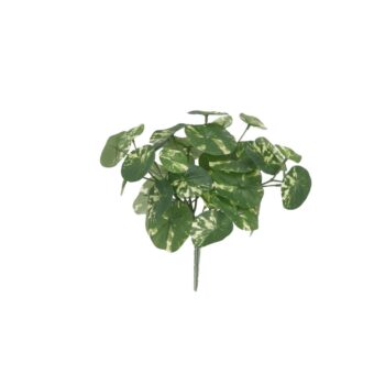 Stephania Erecta Kunstplant  Bont