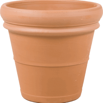 Terra Cotta Doppio Bordo