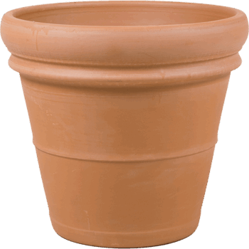 Terra Cotta Doppio Bordo