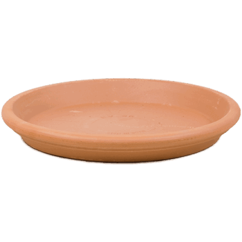 Terra Cotta Saucer