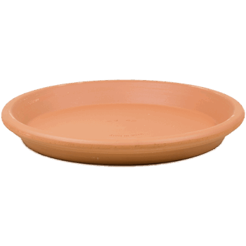 Terra Cotta Saucer