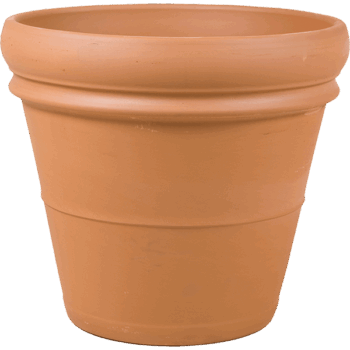 Terra Cotta Doppio Bordo
