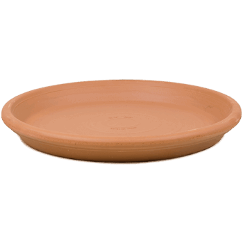 Terra Cotta Saucer