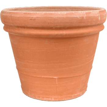Terra Cotta Doppio Bordo Antiques