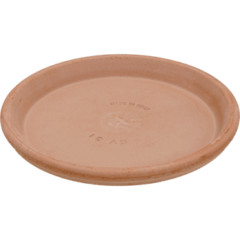 Terra Cotta Saucer Antiques