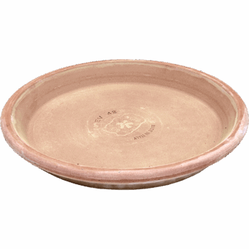 Terra Cotta Saucer Antiques