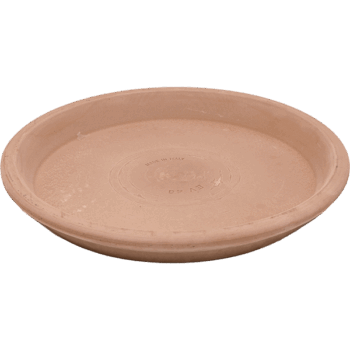 Terra Cotta Saucer Antiques