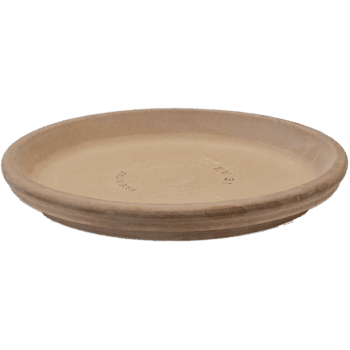 Terra Cotta Saucer Grey