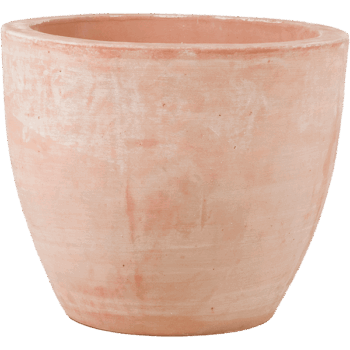 Terra Cotta Couple Extra