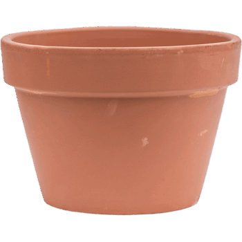Terra Cotta Flowerpot
