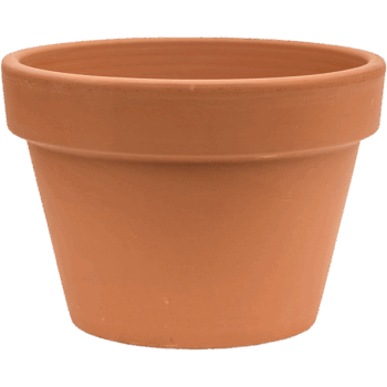 Terra Cotta Flowerpot