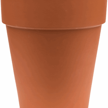 Terra Cotta Flowerpot High