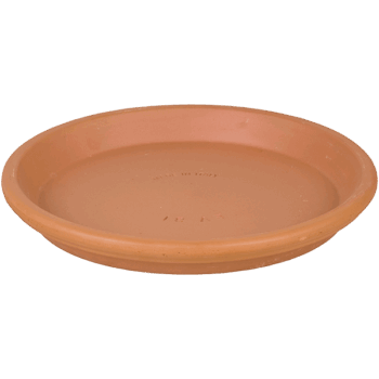 Terra Cotta Saucer