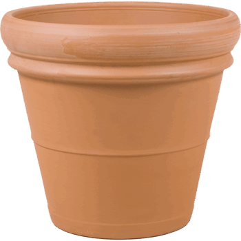 Terra Cotta Doppio Bordo