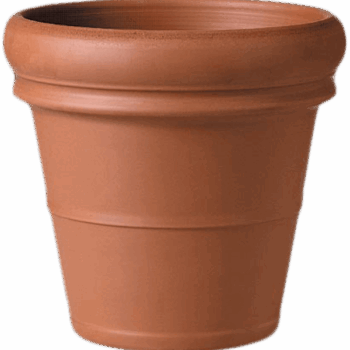 Terra Cotta Doppio Bordo