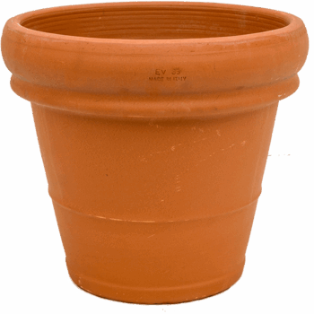 Terra Cotta Doppio Bordo