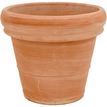 Terra Cotta Doppio Bordo Antiques