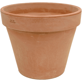 Terra Cotta Flowerpot Antiques