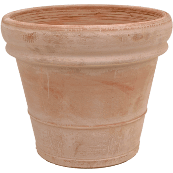 Terra Cotta Doppio Bordo Antiques