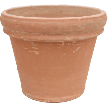 Terra Cotta Doppio Bordo Antiques