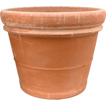 Terra Cotta Doppio Bordo Antiques