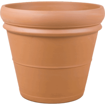 Terra Cotta Doppio Bordo