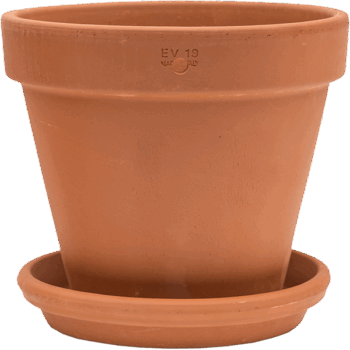 Terra Cotta Wall Pot With Saucer