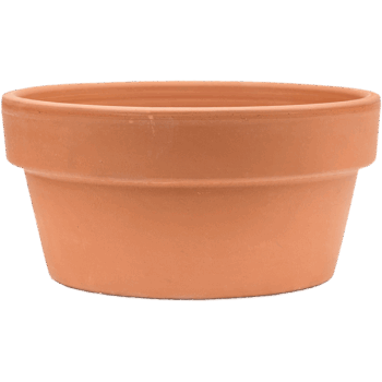 Terra Cotta Bowl