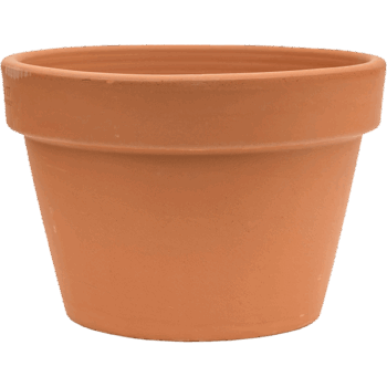 Terra Cotta Flowerpot