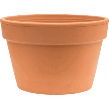 Terra Cotta Flowerpot