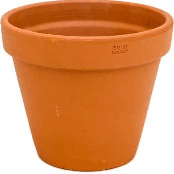 Terra Cotta Flowerpot