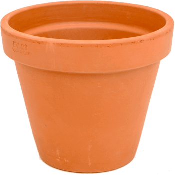Terra Cotta Flowerpot