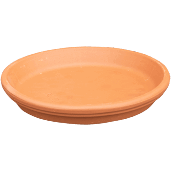 Terra Cotta Saucer