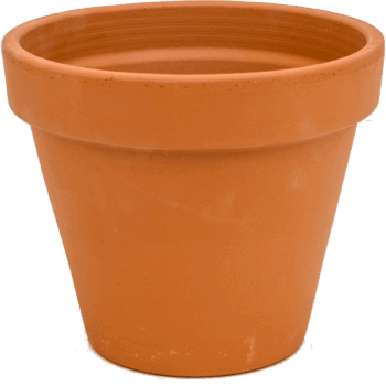 Terra Cotta Flowerpot