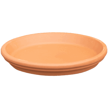 Terra Cotta Saucer