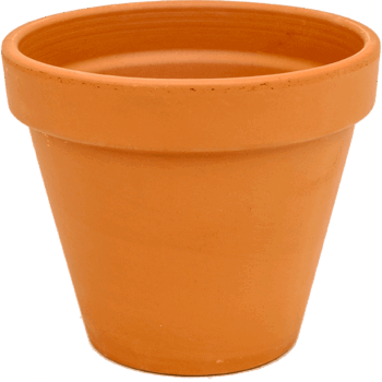 Terra Cotta Flowerpot