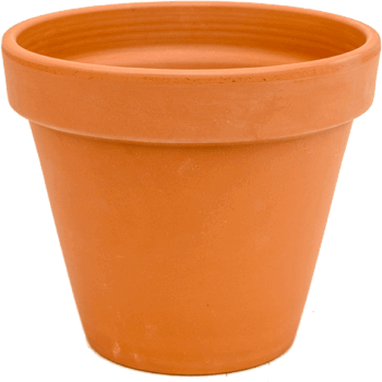 Terra Cotta Flowerpot