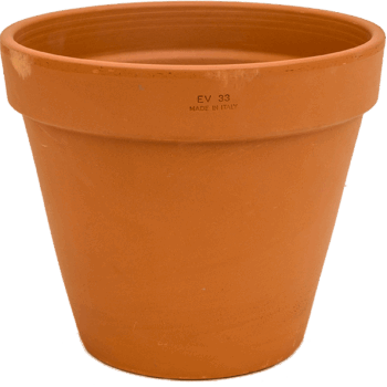 Terra Cotta Flowerpot