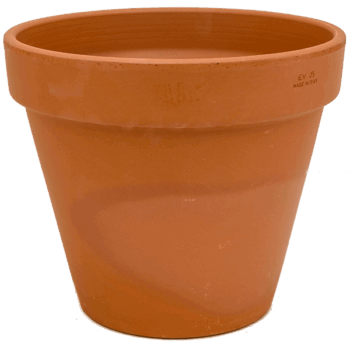 Terra cotta Flowerpot