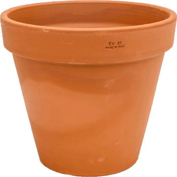 Terra Cotta Flowerpot