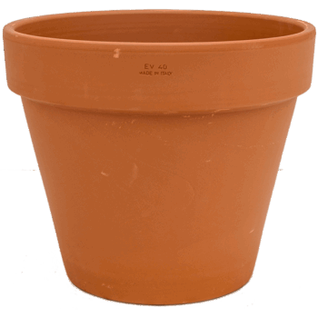 Terra Cotta Flowerpot