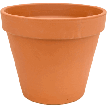 Terra Cotta Flowerpot