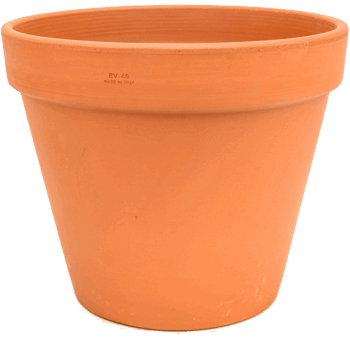Terra Cotta Flowerpot
