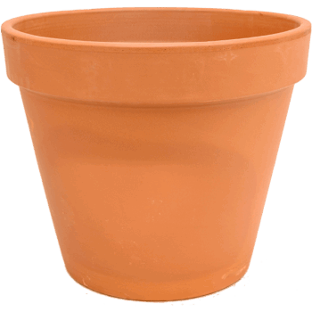 Terra Cotta Flowerpot