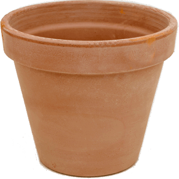 Terra Cotta Flowerpot Antiques