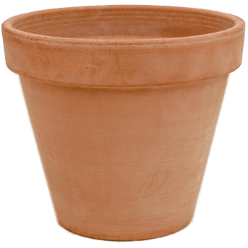 Terra Cotta Flowerpot Antiques