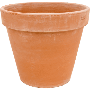 Terra Cotta Flowerpot Antiques